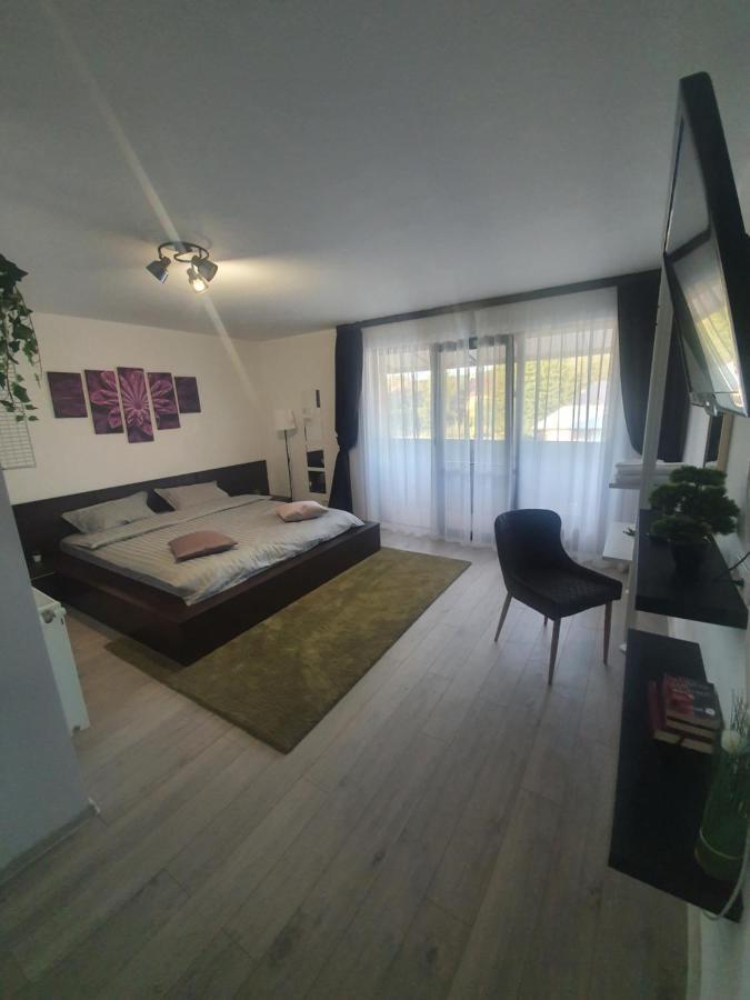 Pensiunea Relax Árgyasudvarhely Kültér fotó